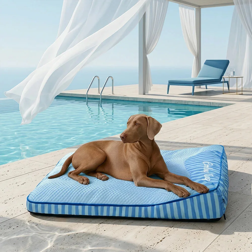 Large brown dog resting on the blue Slashop Cooling Orthopedic Dog Bed beside a pool