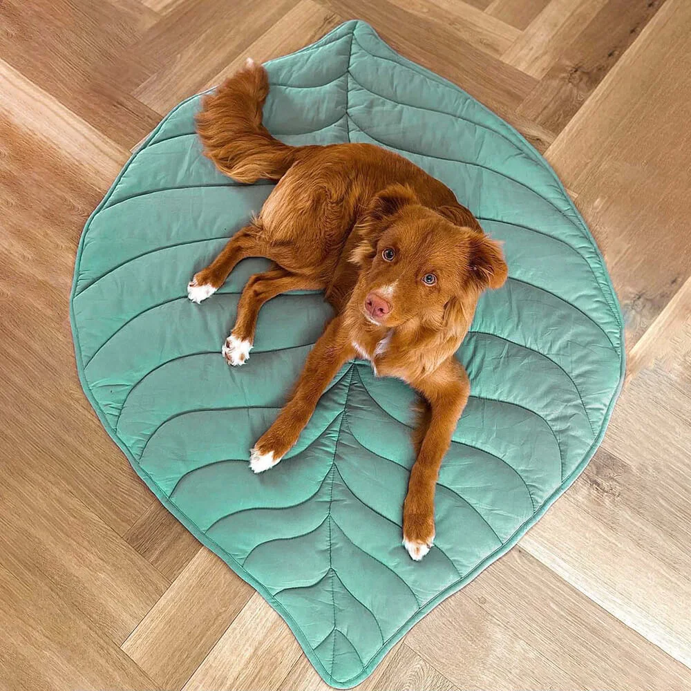 Brown dog lying on the quilted Elm Green Leaf Shape Washable Dog Mat